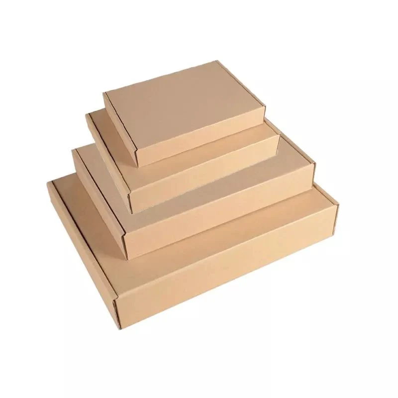 Custom Printed Corrugated Shipping Commerce Carton Mailer Gift Wedding Candy Plastic Kraft Pizza Food Shoe Foldable Fruit Necklac Cardboard Packaging Paper Box