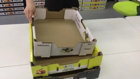 Большая коробка из гофрокартона для овощей и фруктов (FP020007)